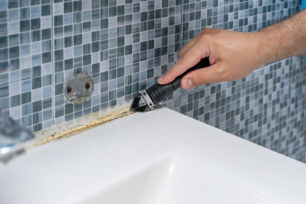  Meadowbrook, VA Mold Removal Pros